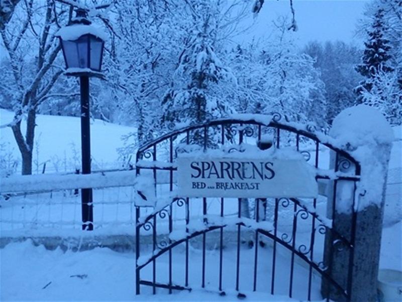 Sparrens Bed And Breakfast Fiskesa Екстер'єр фото
